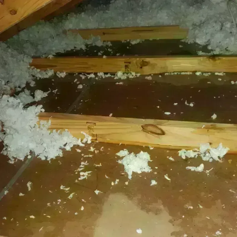 Attic Water Damage in Archer, FL