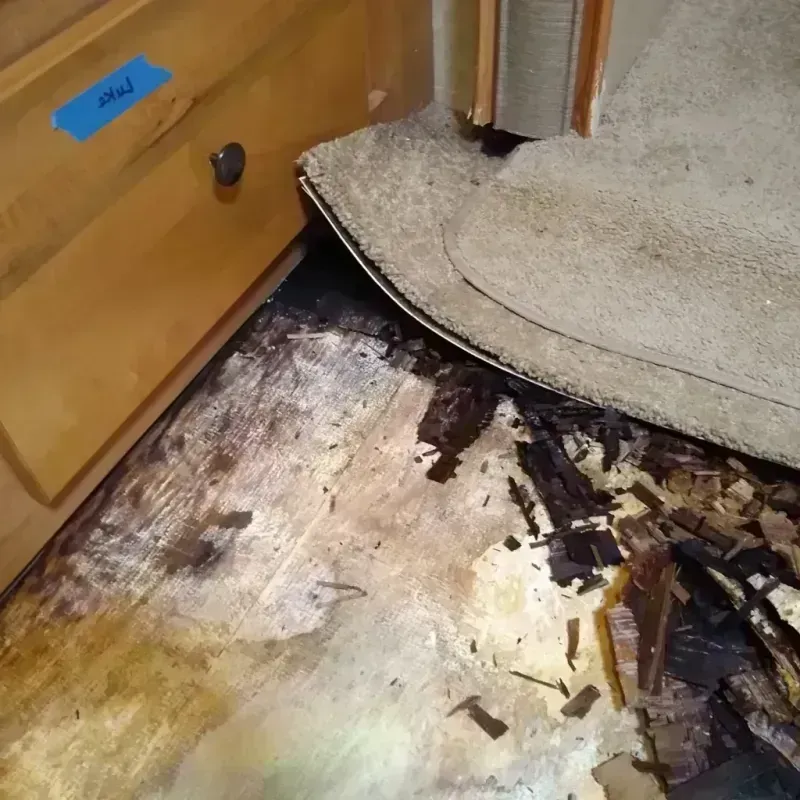 Wood Floor Water Damage in Archer, FL